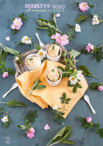 sorbetto easy ananas e salvia - Gluten free travel  & Living