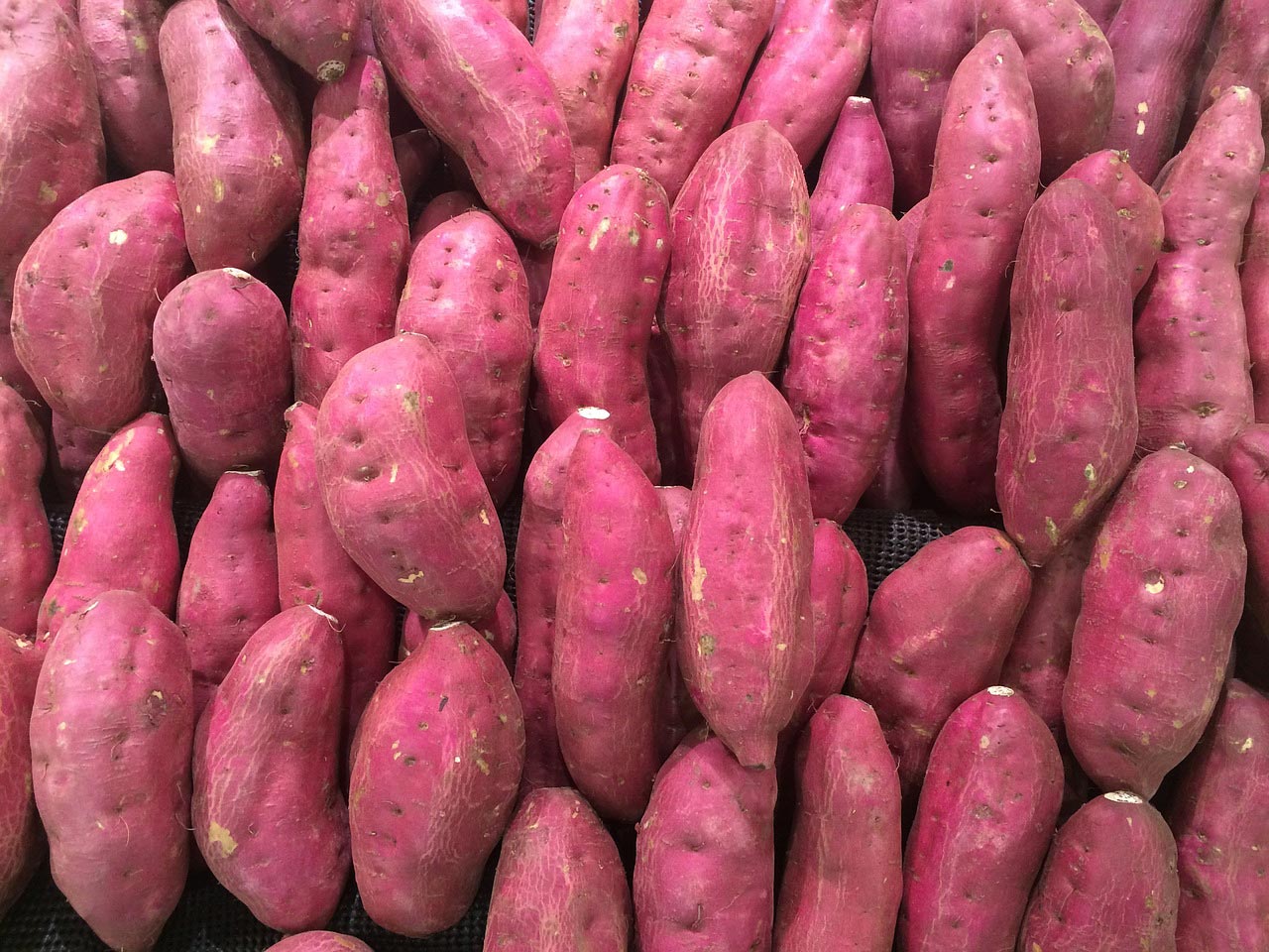 patate-americane Gluten Free Travel and Living