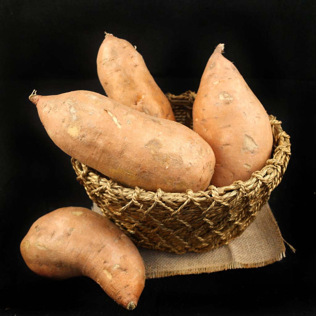 patate-americane Gluten Free Travel and Living