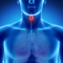 Ragazzi celiaci e lo screening per le malattie tiroidee