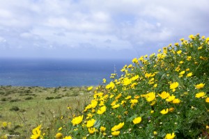 Trapani-Gluten Free Travel&Living