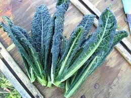 Cibi goitrogenici: il cavolo nero, tuscan kale - Gluten Free travel and Living