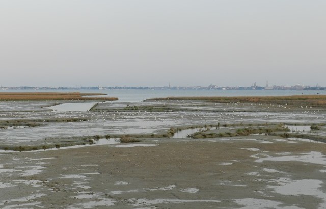 Veneto senza glutine