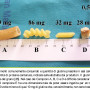 Quanto glutine in una briciola di pane?