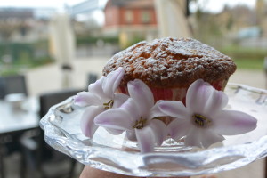 Muffin cioccolato bianco - Gluten Free Travel and Living