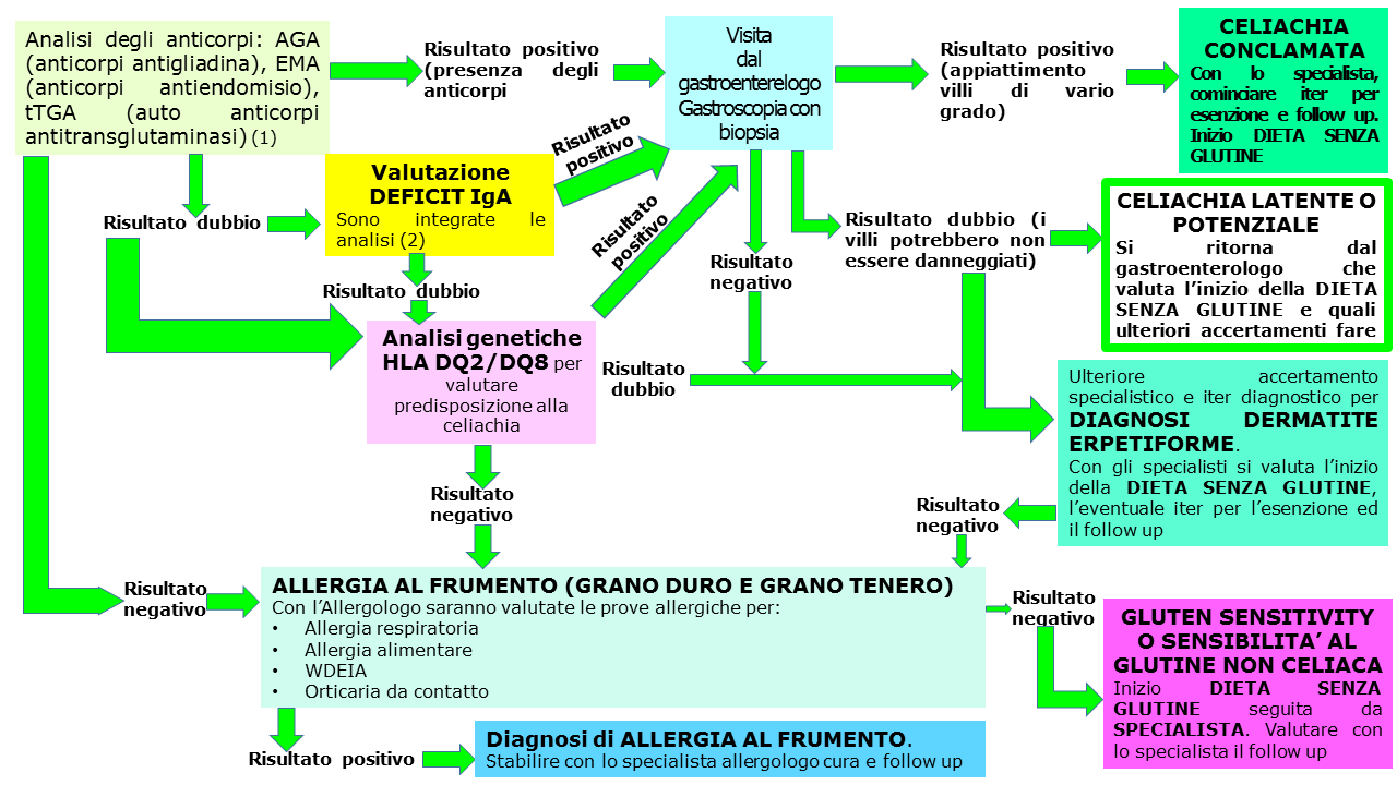 celiachia e diagnosi - Gluten Free Travel and Living