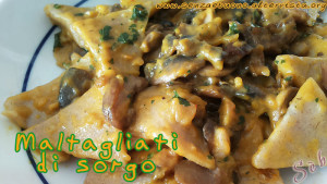 maltagliati-senza-glutine-sorgo3