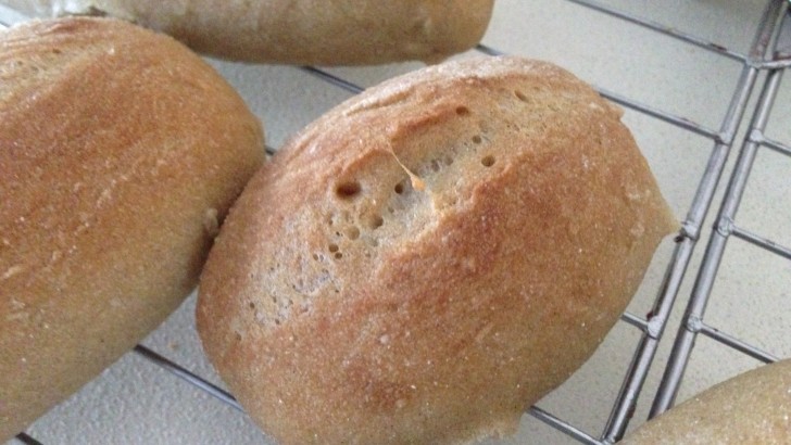 Panini rustici