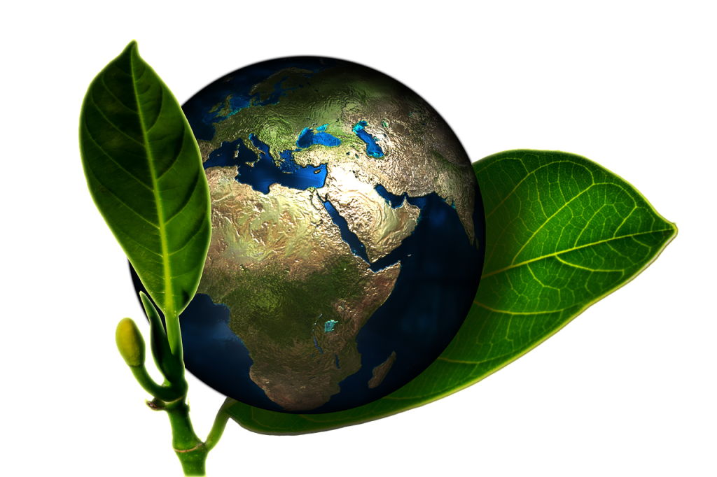earth-Gluten Free Travel and Living