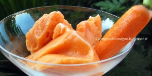 Sorbetto alla carota con limoncello e ricordo di vaniglia del Madagascar