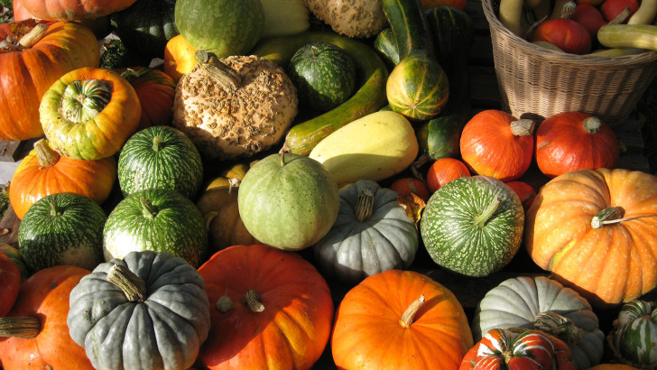 Ottobre, il mese della zucca