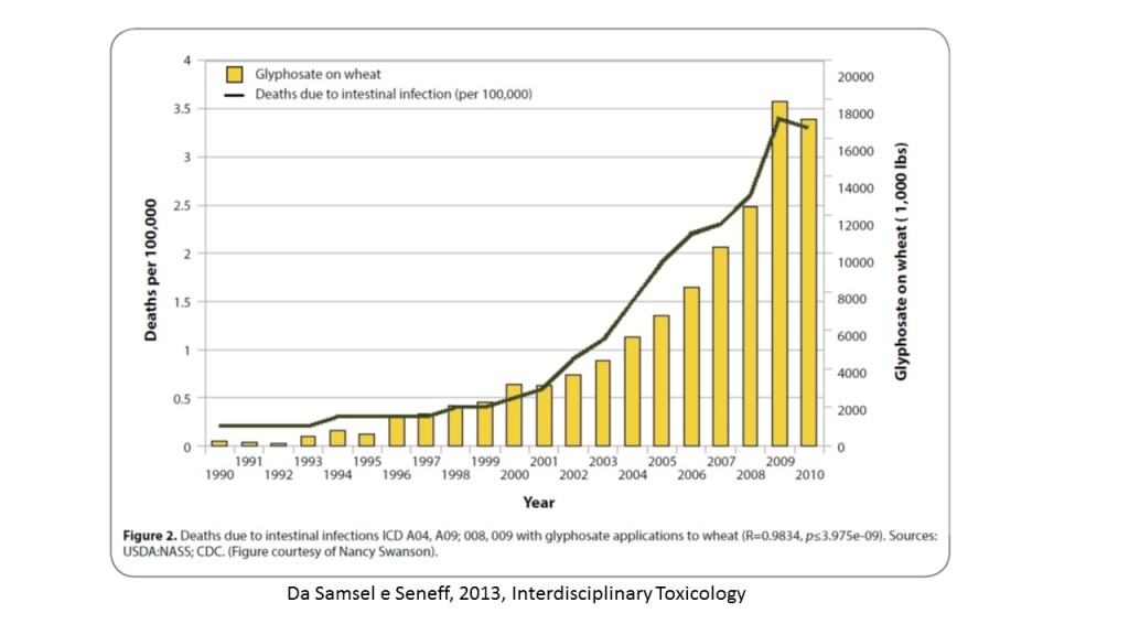 Incidenza di morti per infezioni intestinali e presenza di glifosato nel frumento - Gluten Free Travel and Living