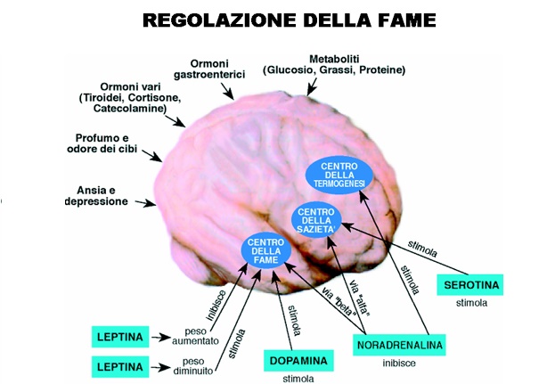 Le feste sono finite e ora che si mangia? - Gluten Free Travel and Living