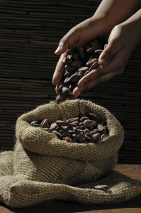 Cioccolato e Polifenoli-Gluten Free Travel and Living