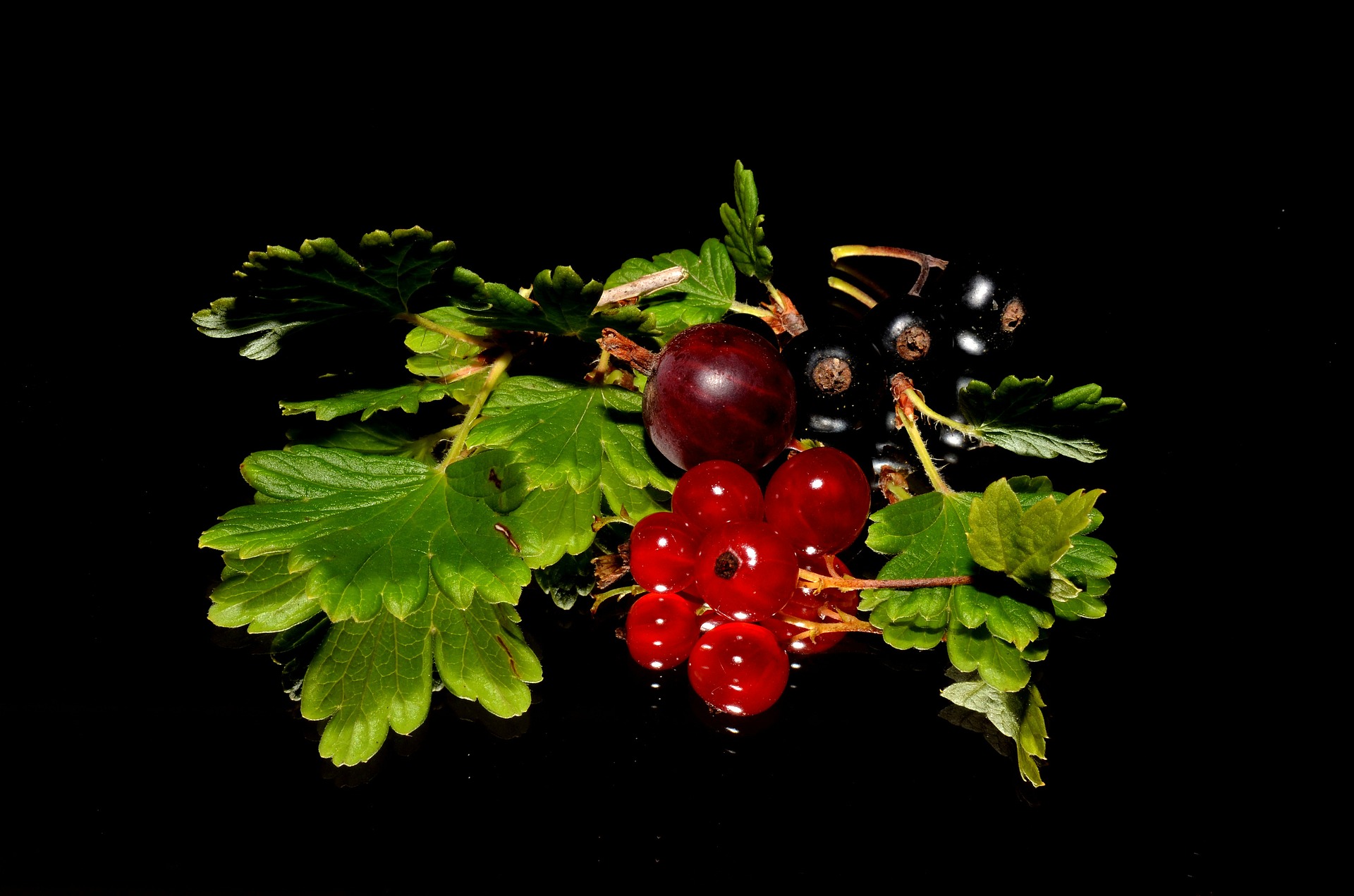 Antociani-Gluten Free Travel and Living