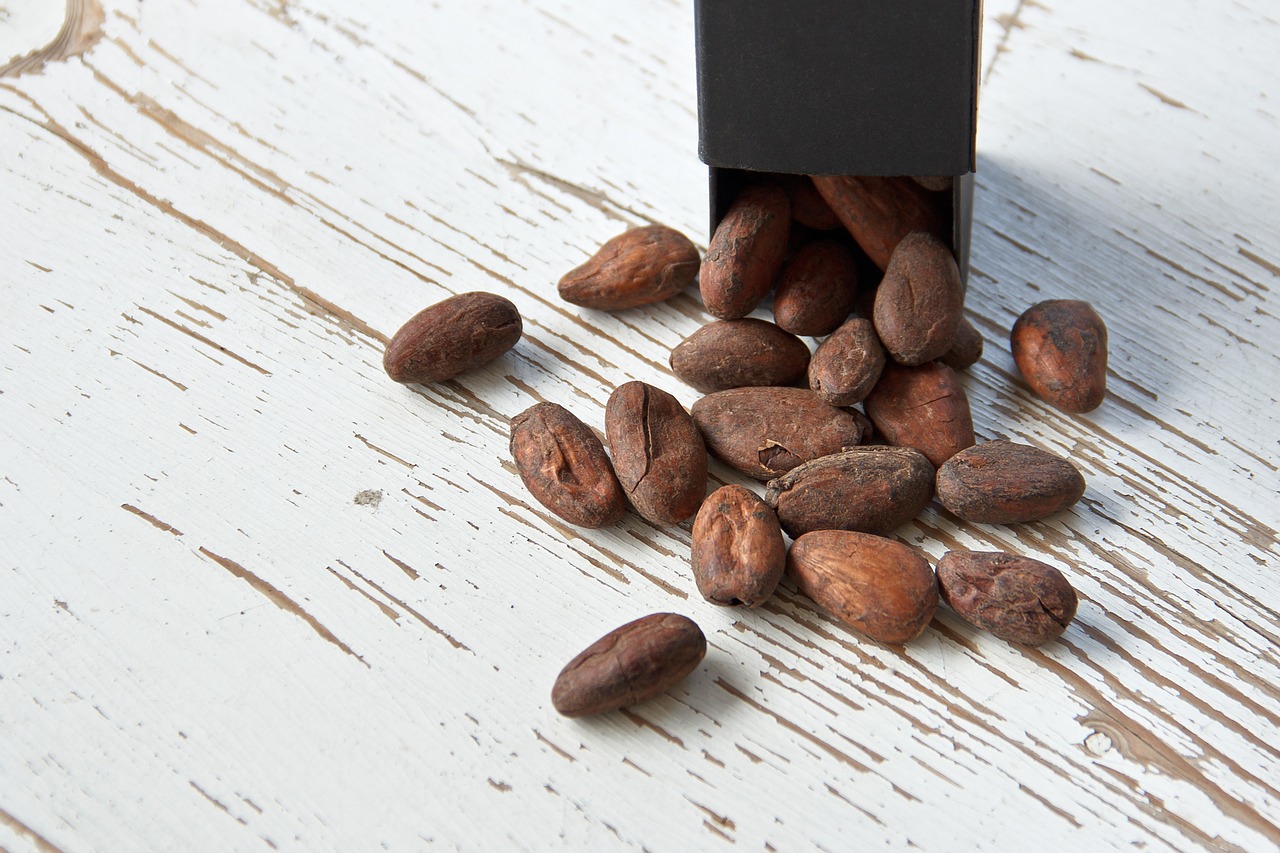 Cacao - Gluten Free Travel and Living