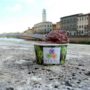 Senza glutine a Pisa: Gelateria De’ Coltelli