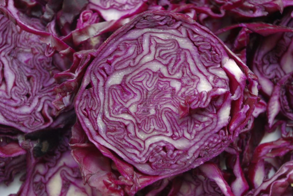 Gluten Free Travel and Living - Cavolo rosso e kale, superfood ricchi di composti salutari