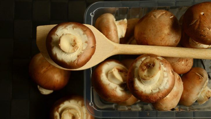 Funghi per il GFCalendar