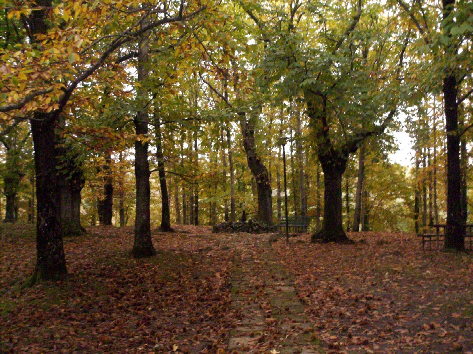 Novembre e le Castagne - Gluten Free Travel and Living Novembre e le Castagne - Gluten Free Travel and Living