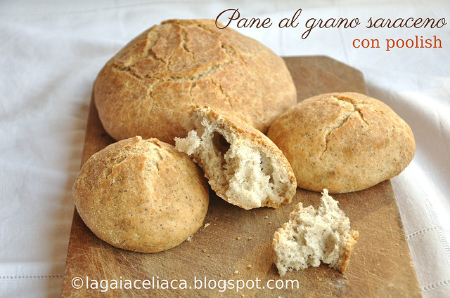 Panini di grano saraceno- Gluten Free Travel and Living