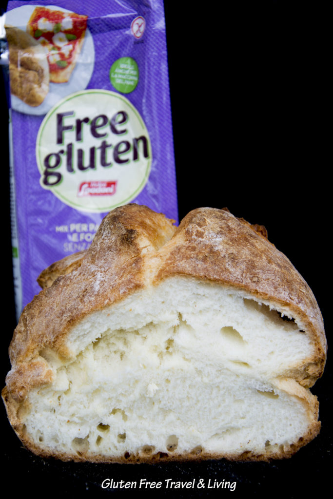 Free Gluten -Gluten Free Travel and Living