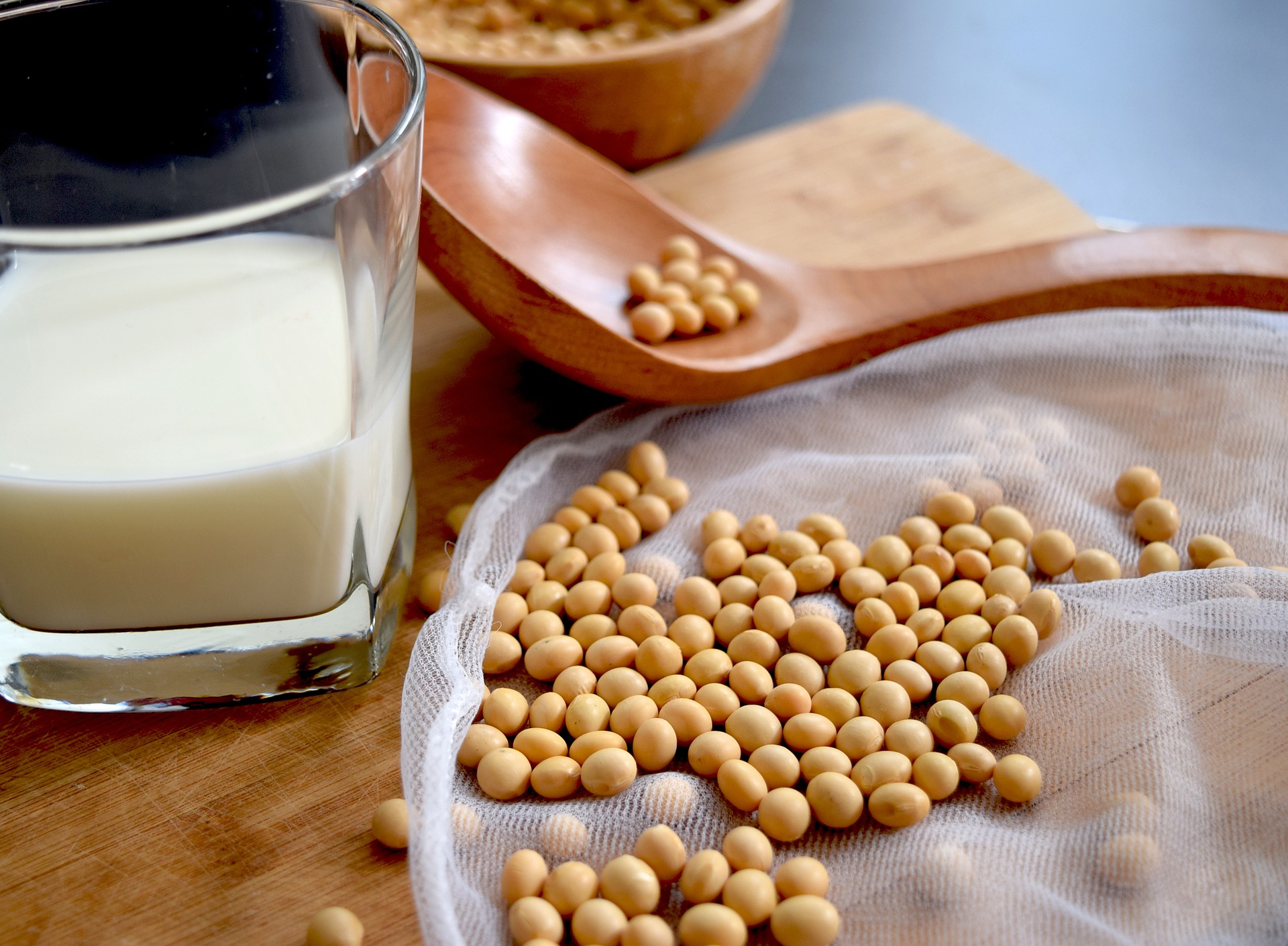 antiossidanti latte di soia -Gluten Free Travel and Living 