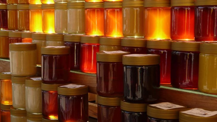 Tipi di miele: proprietà, benefici e utilizzo in cucina del nettare degli dei