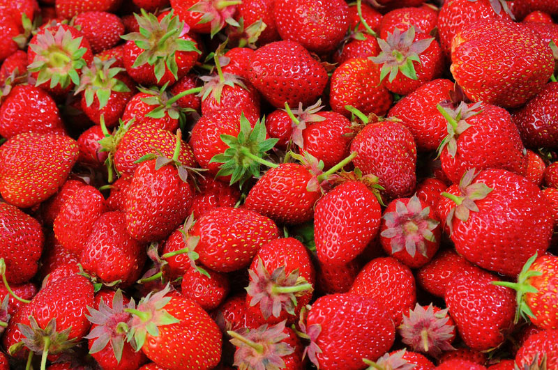 Fragole Gluten Free Travel & Living