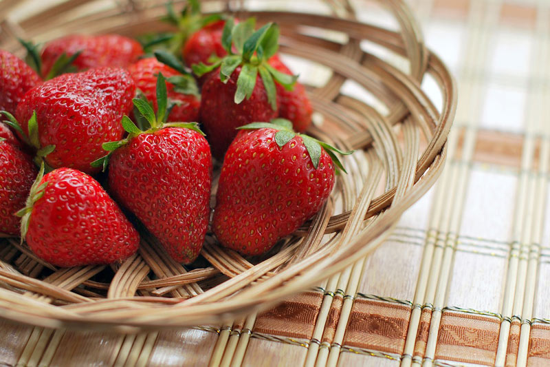Le Fragole Curiosità Storia Poesie E Canzoni Gluten Free