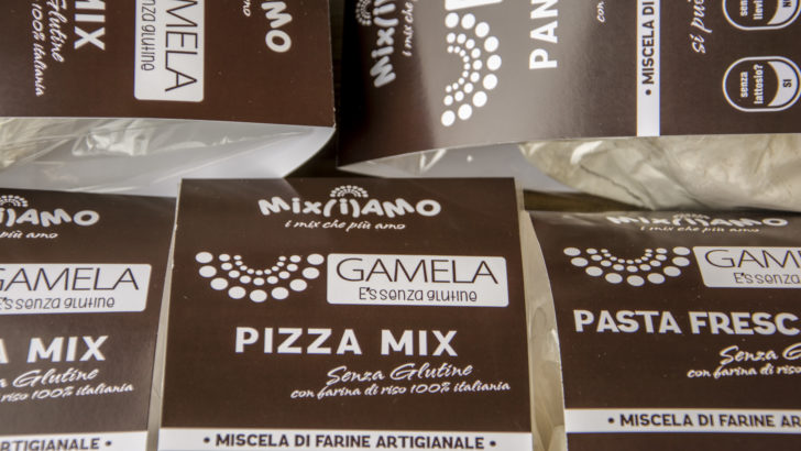 Mix di farine senza glutine Gamela