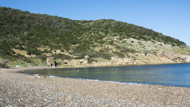 Isola d’Elba senza glutine in camper