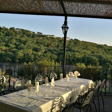 Forgione -Gluten Free Travel and Living