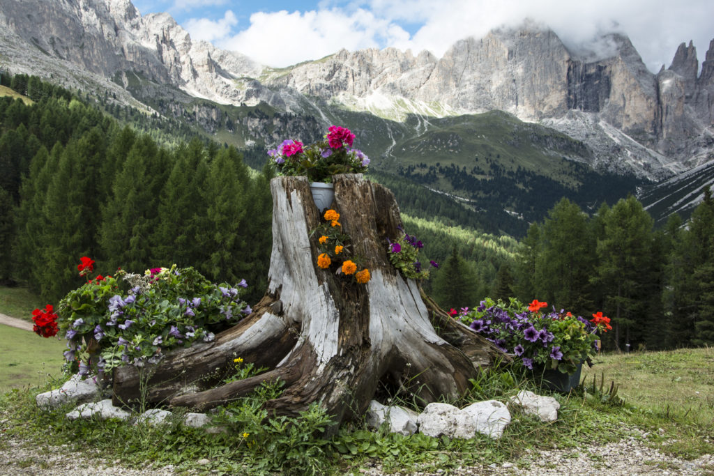 Val di Fassa -Gluten Free Travel and Living