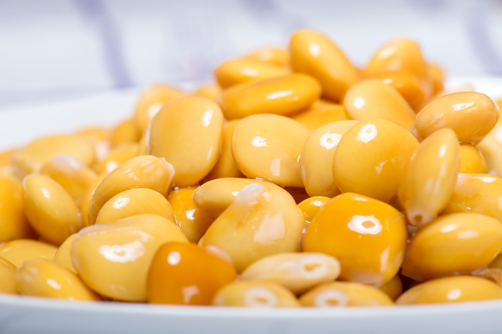 Lupino-Gluten Free Travel and Living