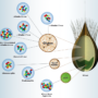 Gluten sensitivity non celiaca: glutine o frumento?