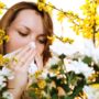 Allergie di primavera