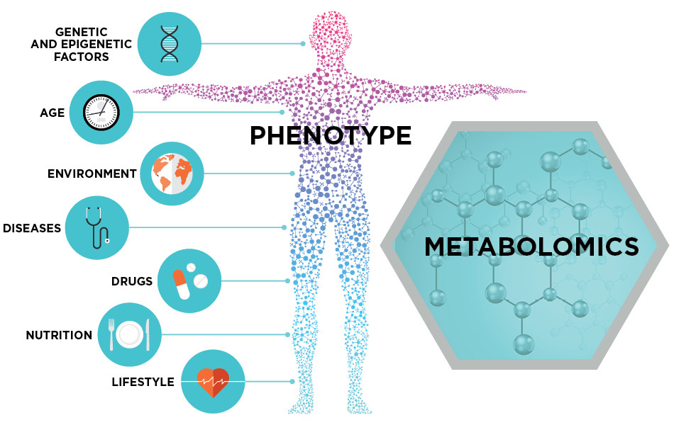 metabolonoma - Gluten Free Travel and Living