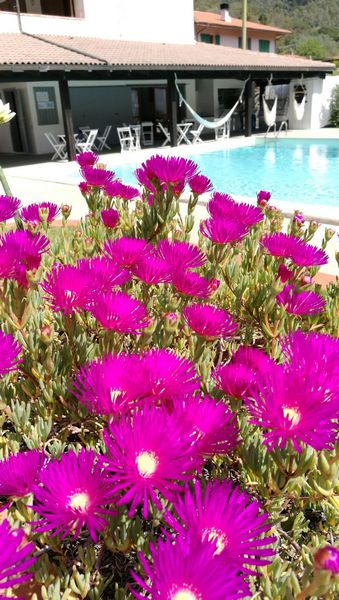 Vela Bianca -Gluten Free Travel and Living