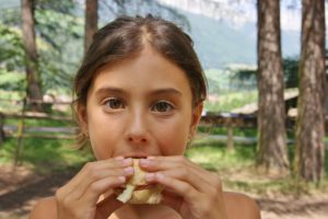 Alto Adige -Gluten Free Travel and Living