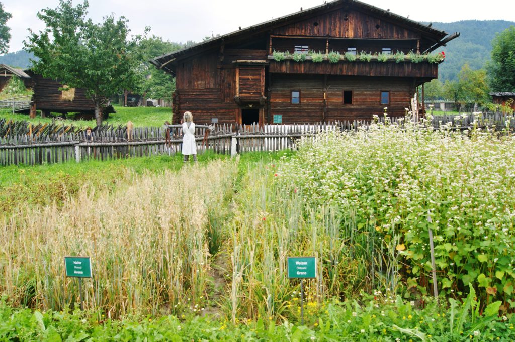 Alto Adige -Gluten Free Travel and Living