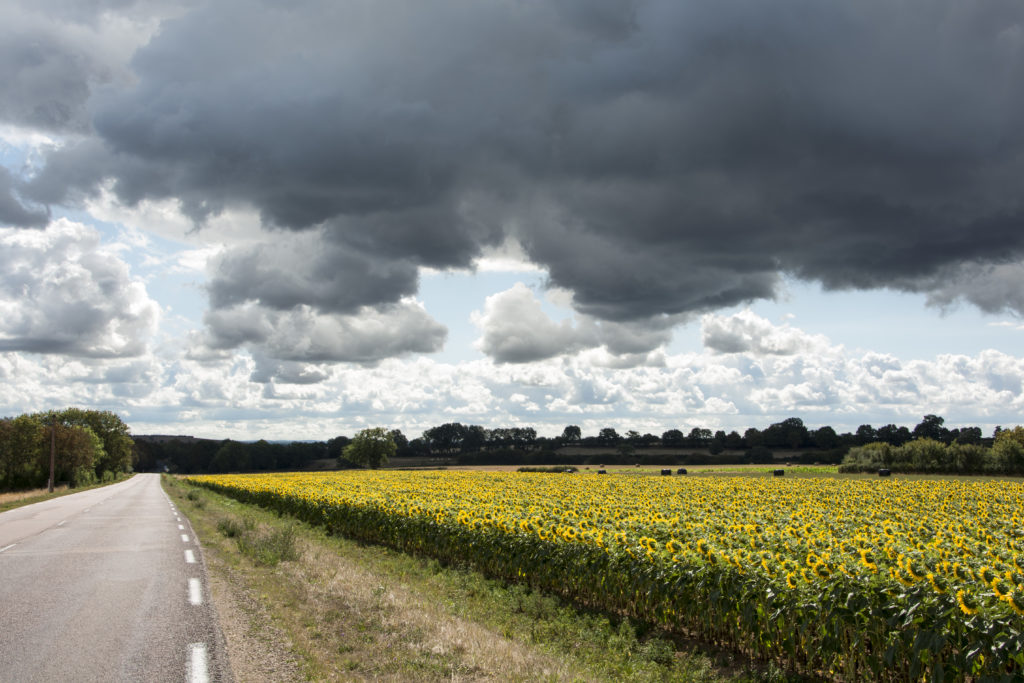 Beaune -Gluten Free Travel and Living